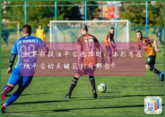 世界杯投注平台选择时，体彩与在线平台的关键区别有哪些？